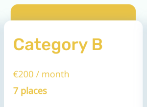 Member Category B