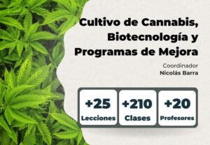 Curso: Cultivo de cannabis, biotecnología y programas de mejora