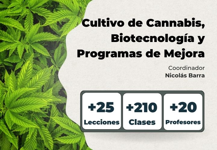 Curso: Cultivo de cannabis, biotecnología y programas de mejora
